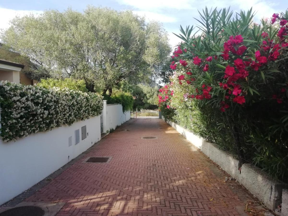 Casa Vacanze Villa Rosa 卡拉古诺内 外观 照片