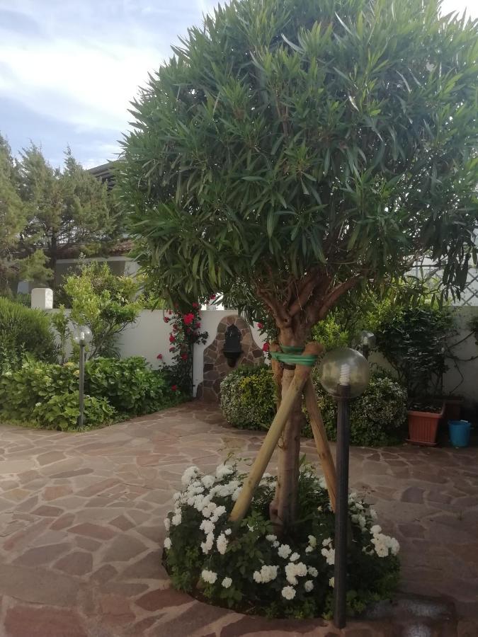 Casa Vacanze Villa Rosa 卡拉古诺内 外观 照片