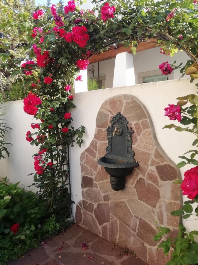 Casa Vacanze Villa Rosa 卡拉古诺内 外观 照片