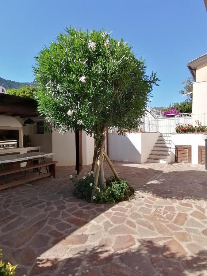 Casa Vacanze Villa Rosa 卡拉古诺内 外观 照片